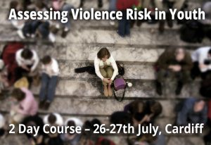 Youth Violence Risk Assessments